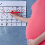 Как долго длится беременность?
