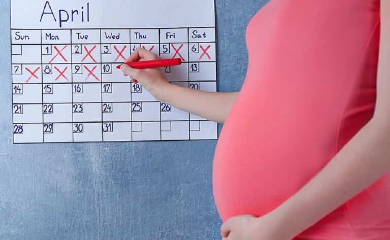 Как долго длится беременность?